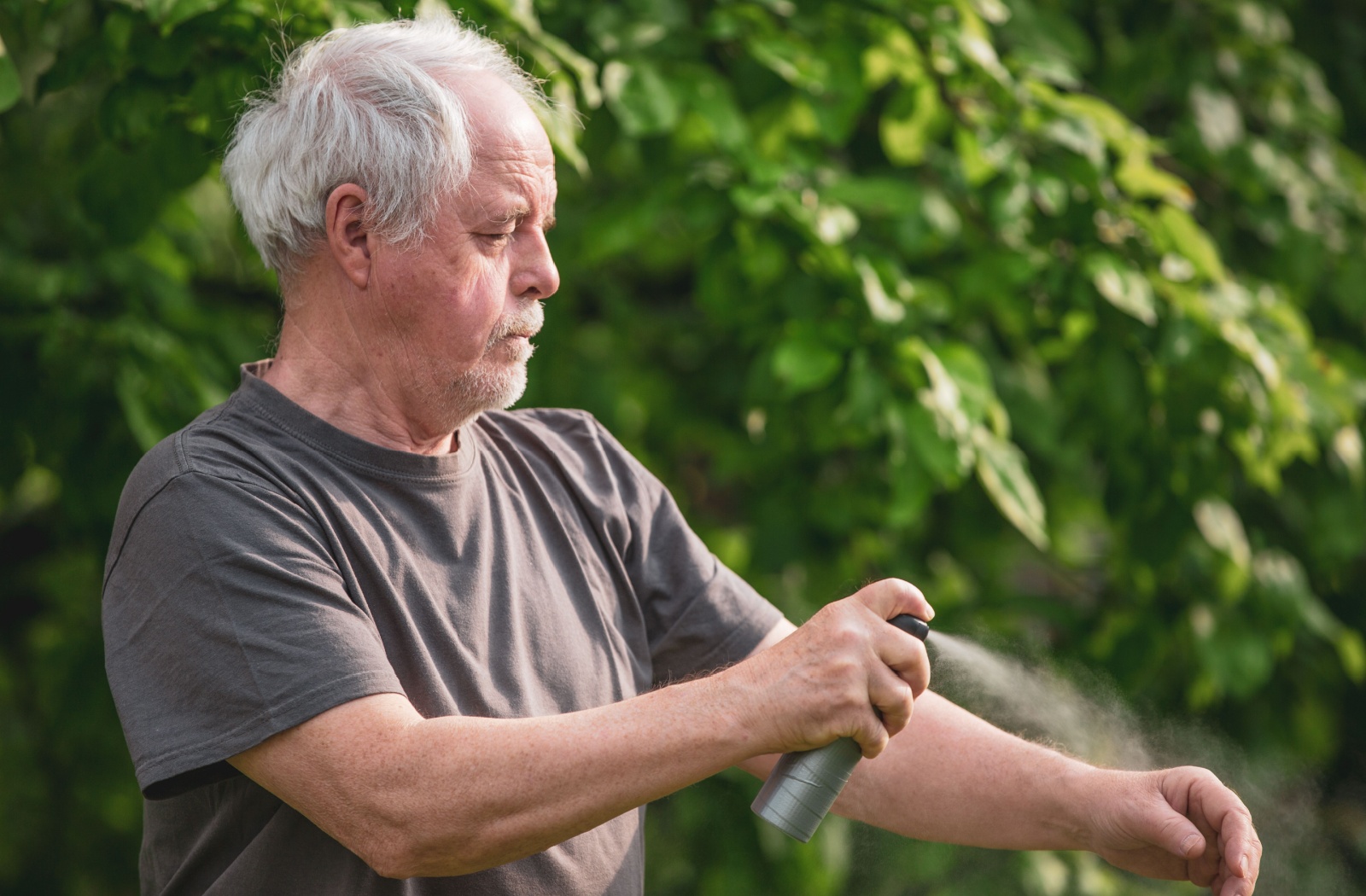 A senior sprays a lightweight sunscreen onto their arms to prevent sunburns while spending time outdoors in the summer