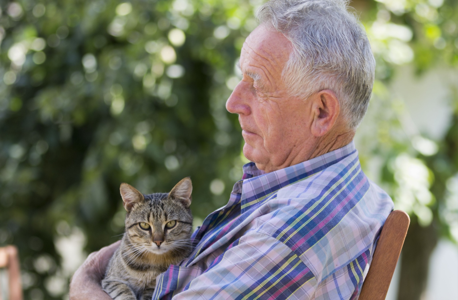 A senior sits in a chair outside with their pet car on their lap.